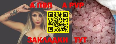 ешки Кингисепп