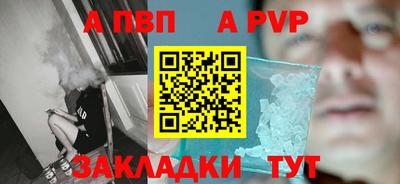 ешки Кингисепп