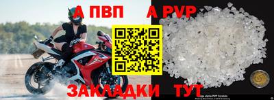 ешки Кингисепп