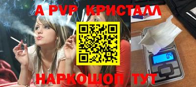 ешки Кингисепп