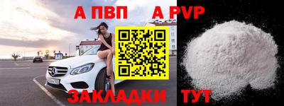 ешки Кингисепп