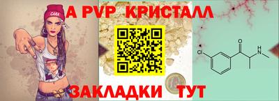 ешки Кингисепп