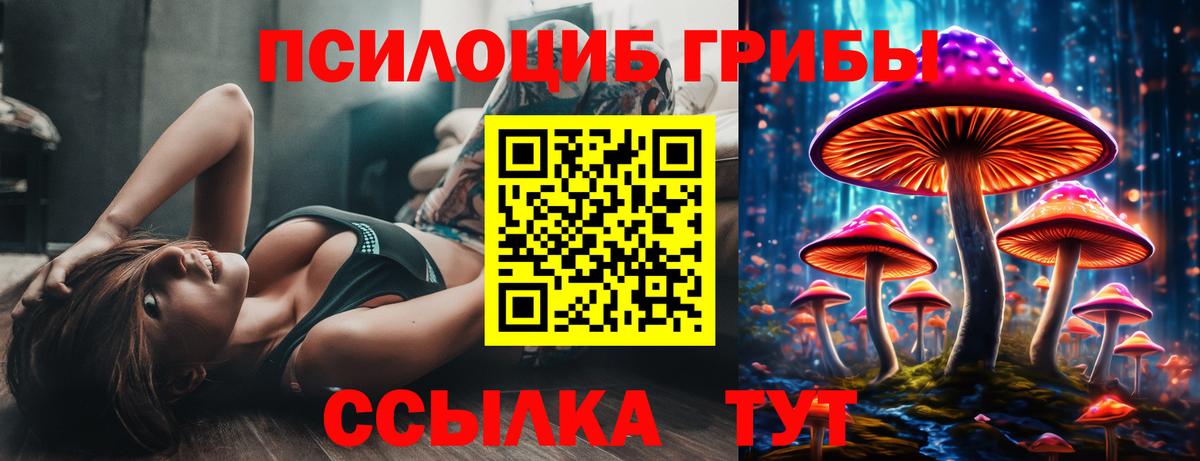 Королёв  Псилоцибиновые грибы MAGIC MUSHROOMS  Вход с VPN 